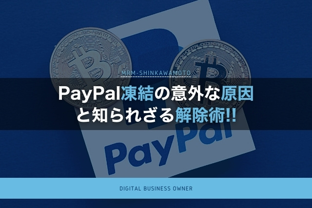 PayPal凍結の意外な原因と知られざる解除術とは?